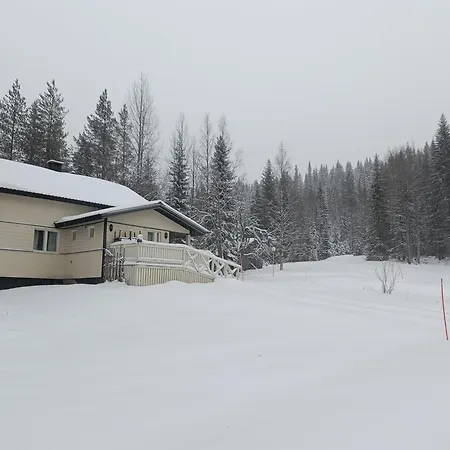 Kuusirinne * Syöte